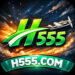 H555 Game